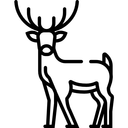 Fenómenos